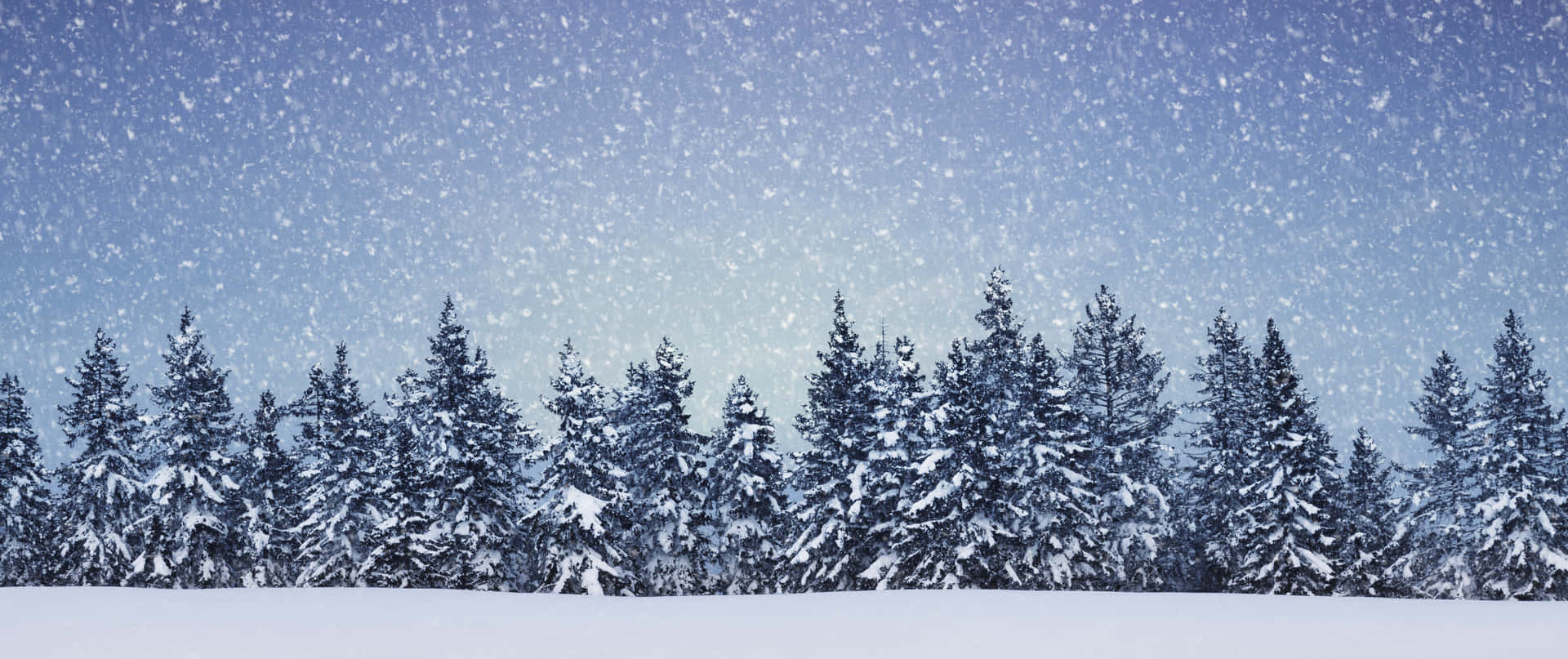 Winter Shipping Notice!!