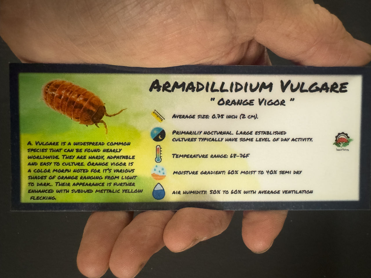 Armadillidium Vulgare Orange Vigor Isopod Bin Label