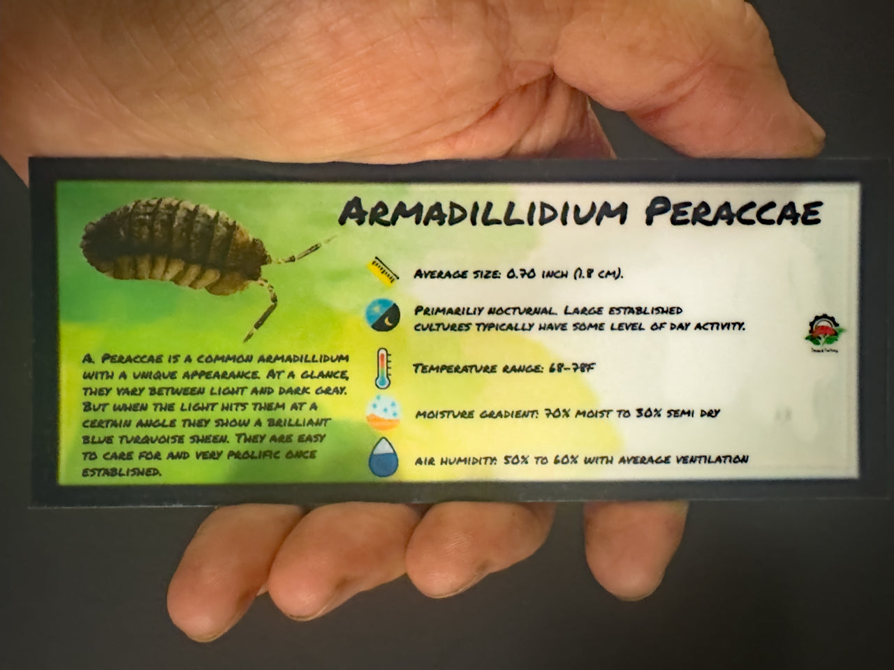 Armadillidium Peraccae Isopod Bin Label