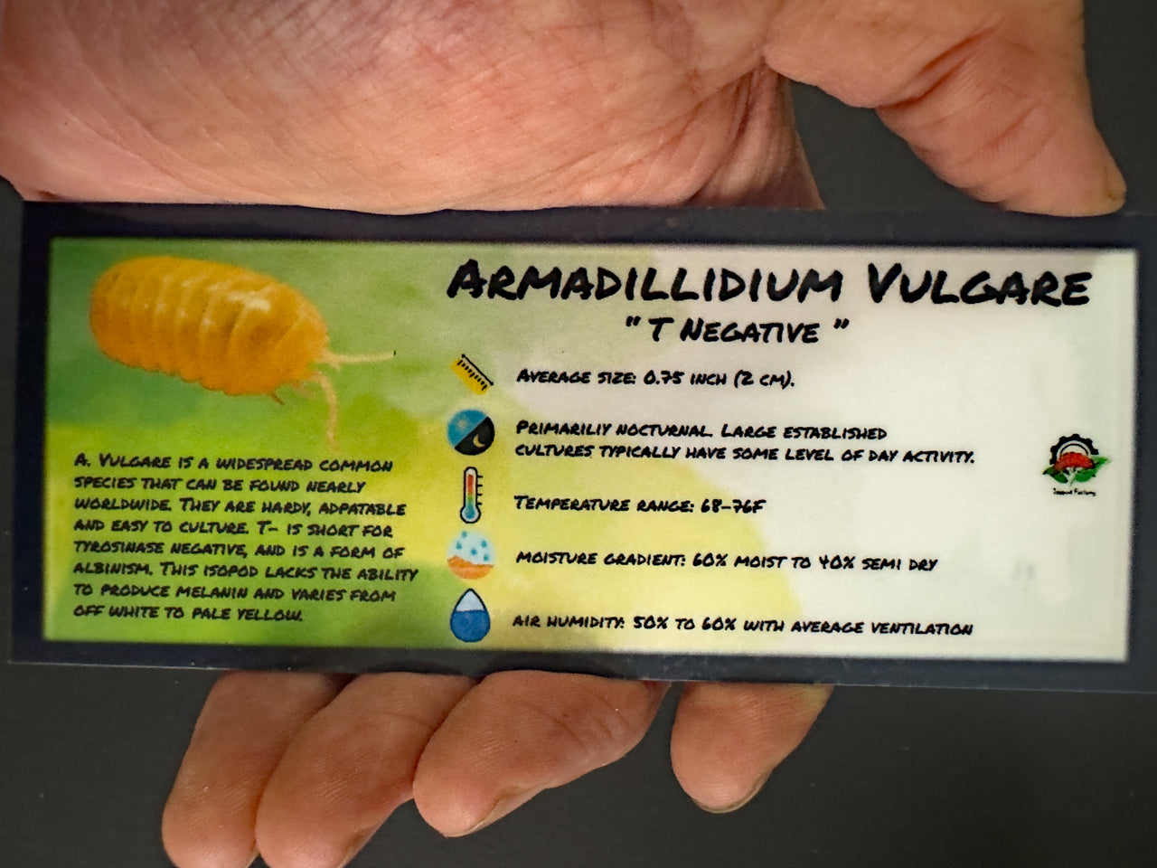 Armadillidium Vulgare T Negative Isopod Bin Label
