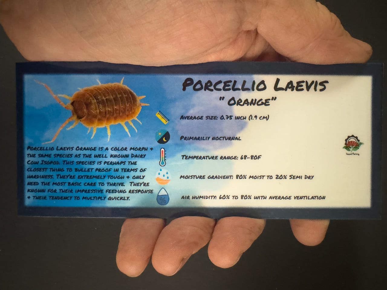 Porcellio Laevis Orange Isopod Bin Label