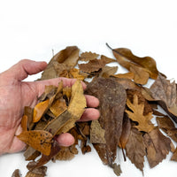 Thumbnail for Premium 6 Blend Isopod Leaf Litter