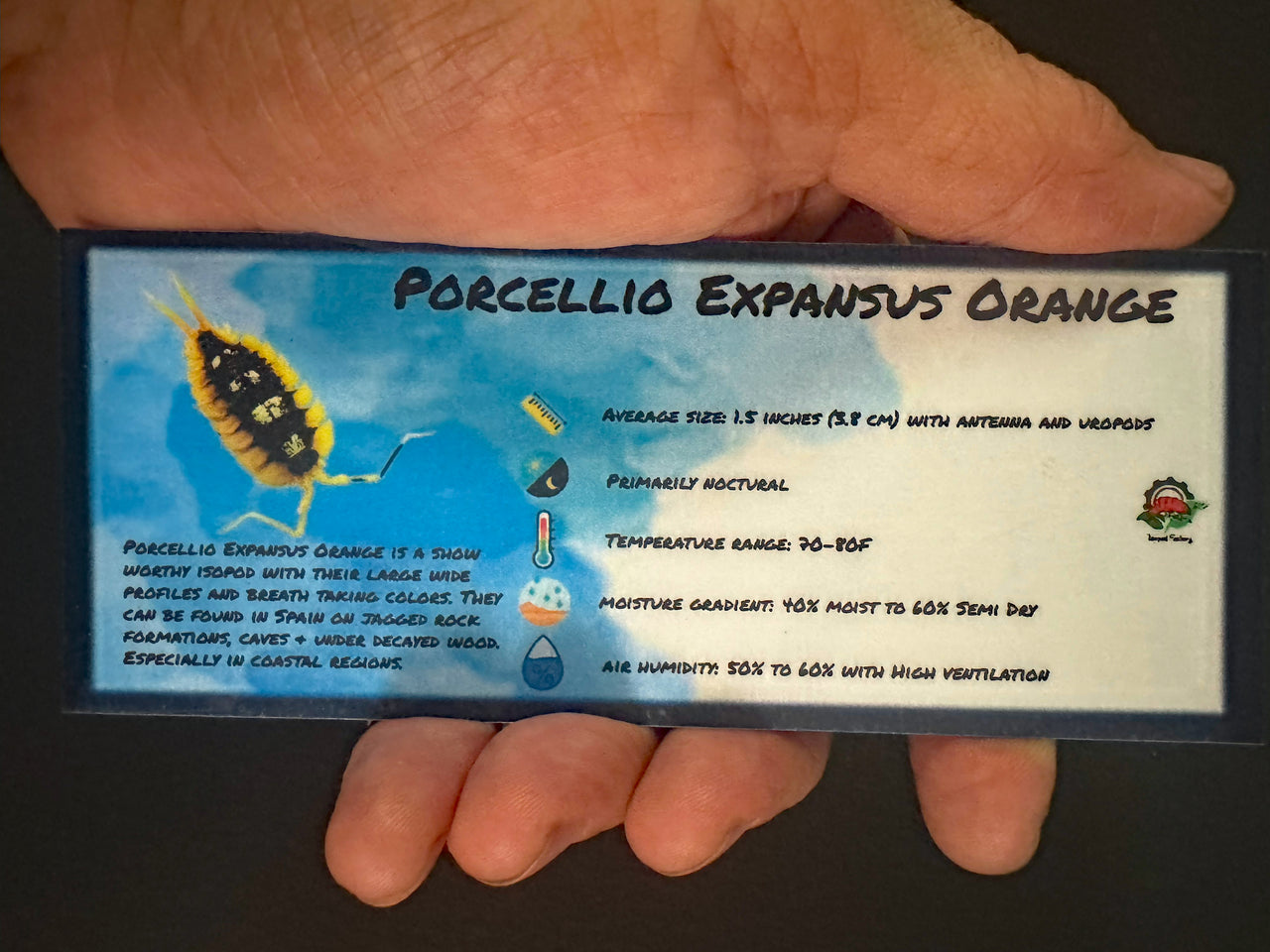 Porcellio Expansus Orange Isopod Bin Label