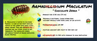 Thumbnail for Armadillidium Maculatum Chocolate Zebra Isopod Bin Label
