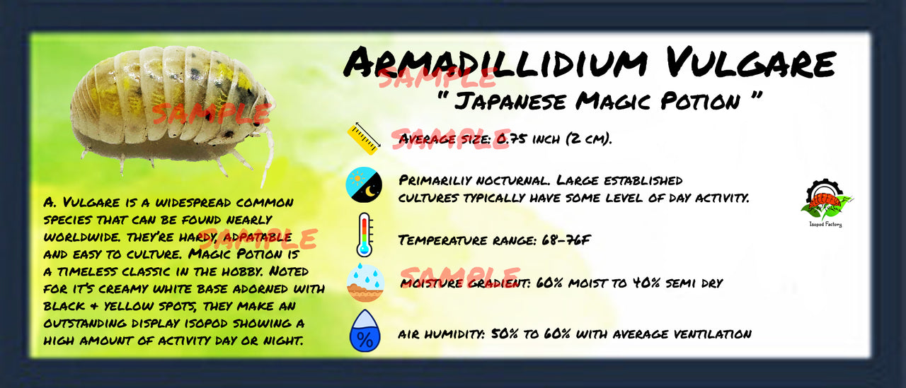 Armadillidium Vulgare Japanese Magic Potion Isopod Bin Label