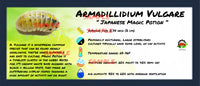 Thumbnail for Armadillidium Vulgare Japanese Magic Potion Isopod Bin Label