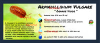 Thumbnail for Armadillidium Vulgare Orange Vigor Isopod Bin Label