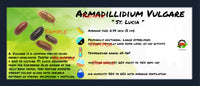 Thumbnail for Armadillidium Vulgare St. Lucia Isopod Bin Label