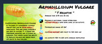 Thumbnail for Armadillidium Vulgare T Negative Isopod Bin Label