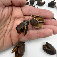 Thumbnail for Bakuli Pods Natural Terrarium Vivarium Isopod Botanical Decor