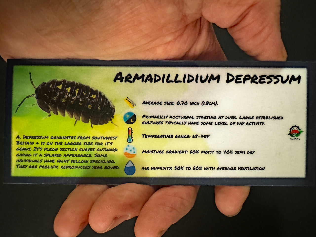 Armadillidium Depressum Isopod Bin Label