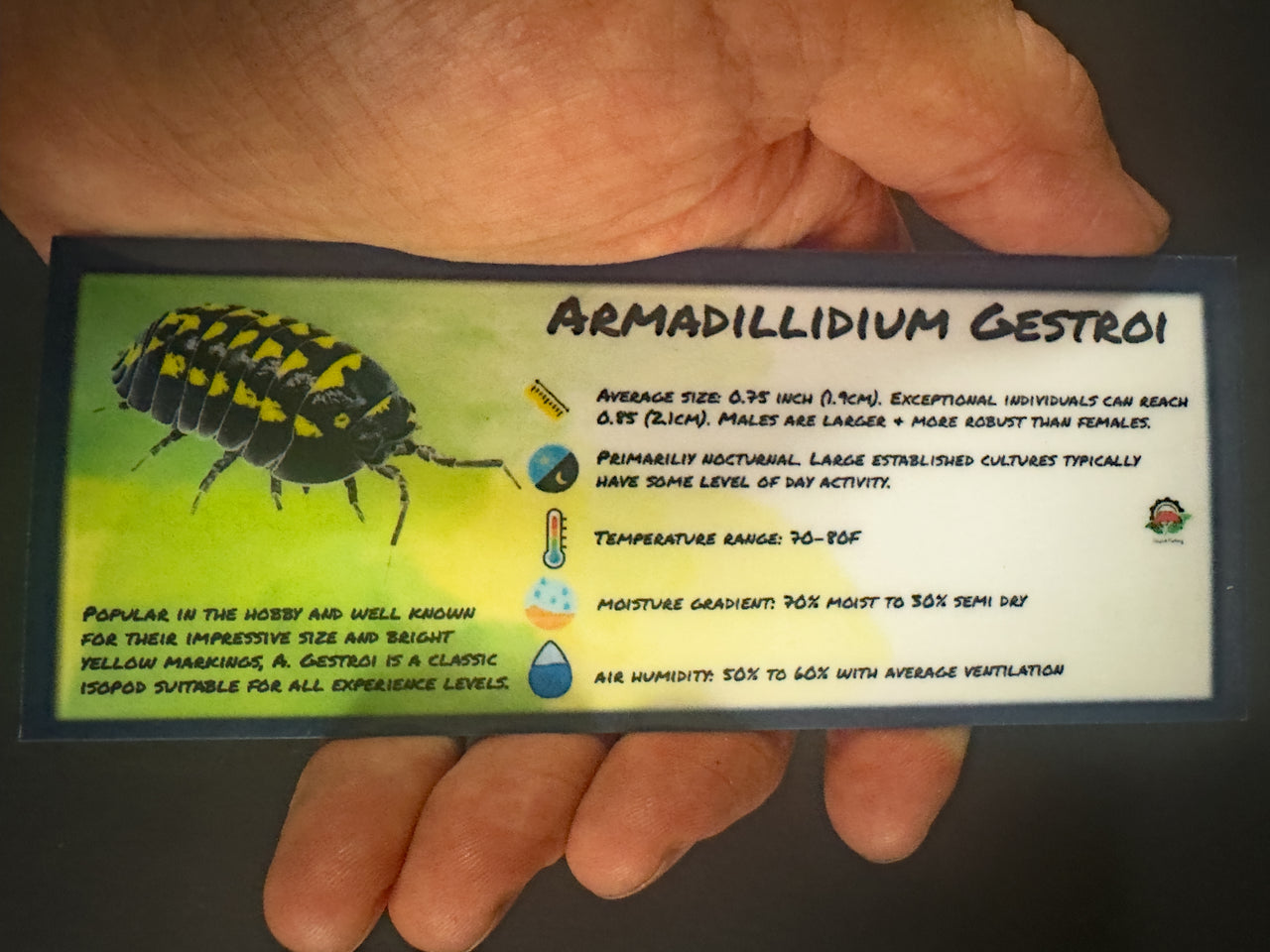 Armadillidium Gestroi Isopod Bin Label