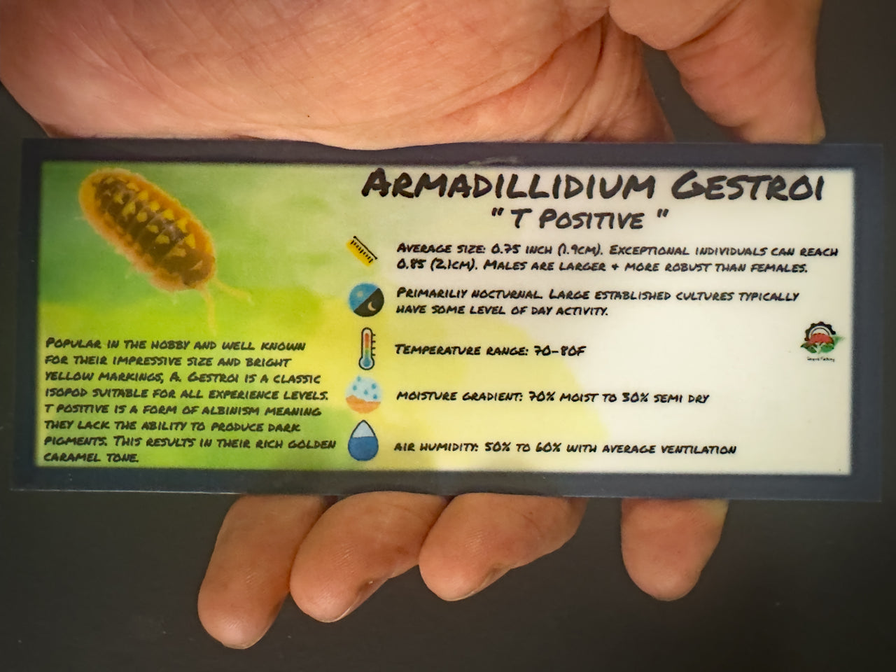 Armadillidium Gestroi T Positive Isopod Bin Label