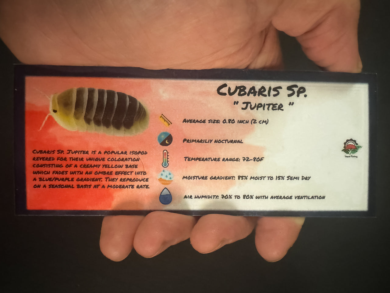 Cubaris Sp. Jupiter Isopod Bin Label
