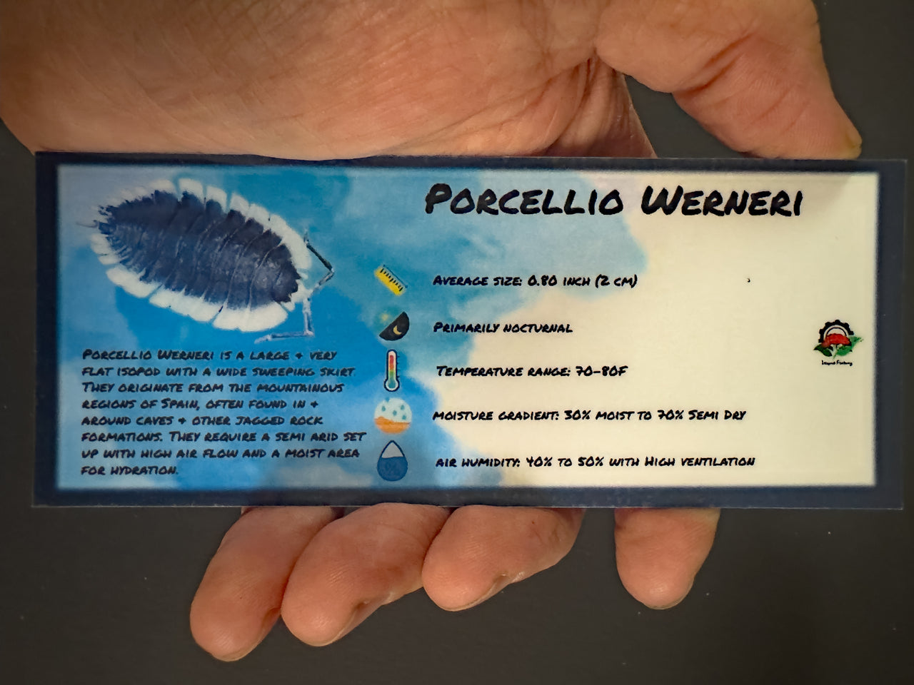 Porcellio Werneri Isopod Bin Label