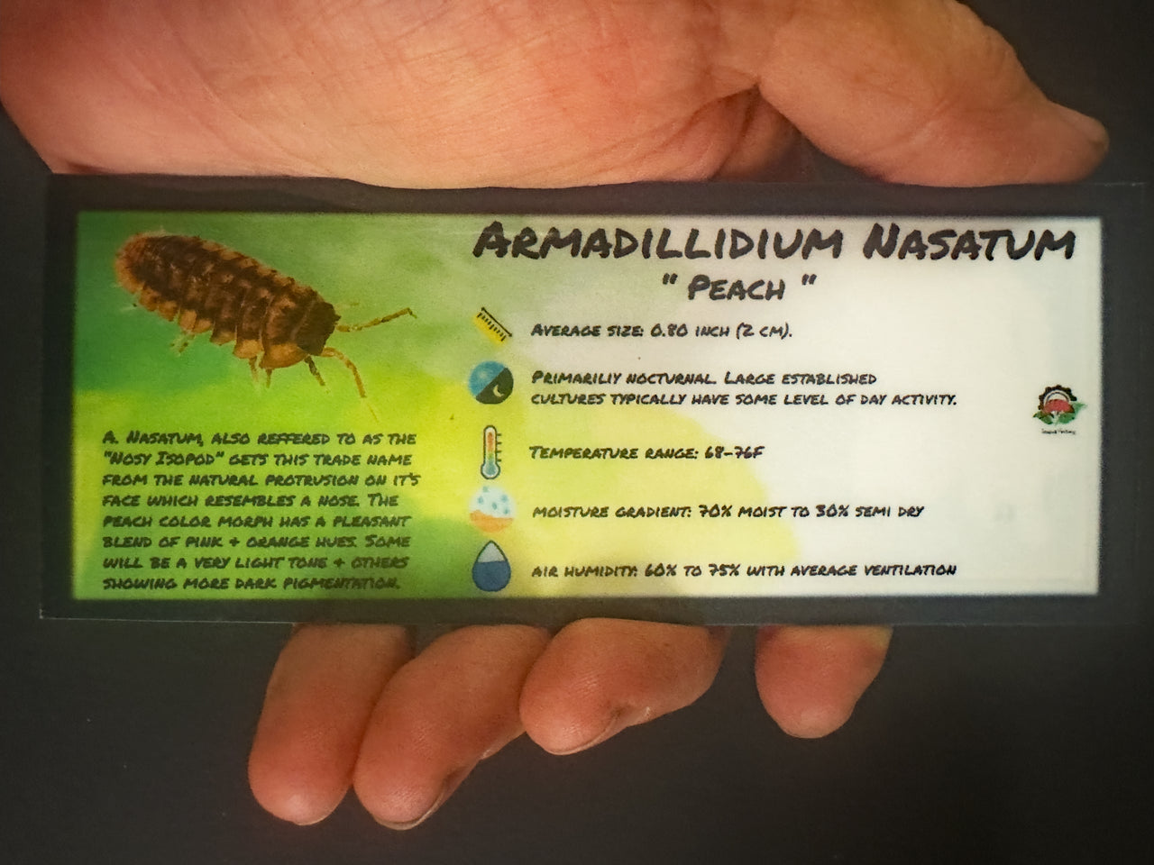 Armadillidium Nasatum Peach Isopod Bin Label