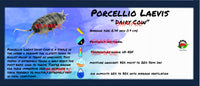 Thumbnail for Porcellio Laevis Dairy Cow Isopod Bin Label