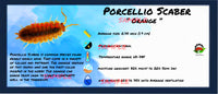 Thumbnail for Porcellio Scaber Orange Isopod Bin Label