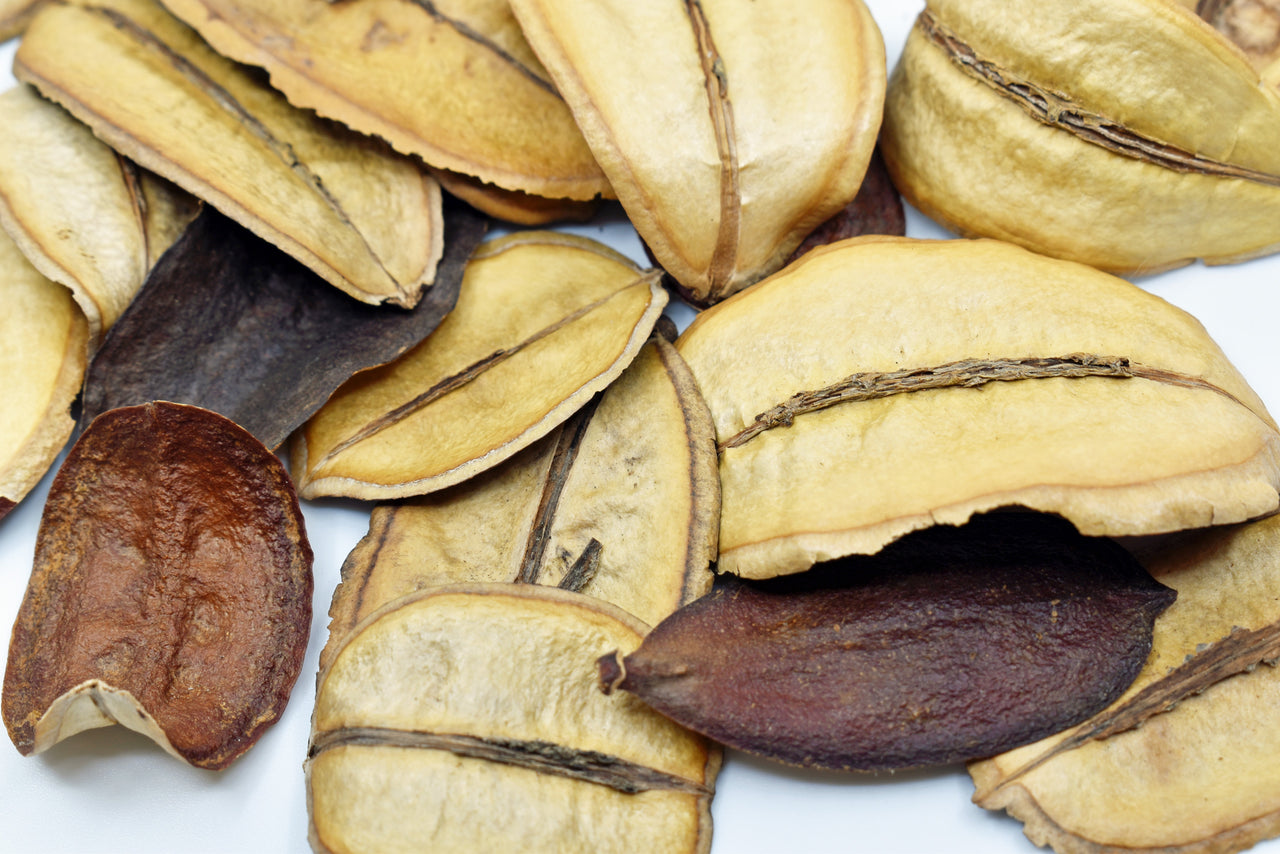 Jacaranda Puberula Pod