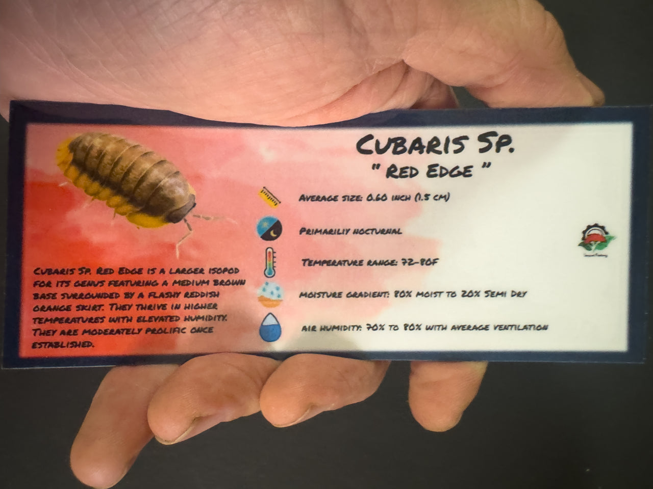 Cubaris Sp. Red Edge Isopod Bin Label