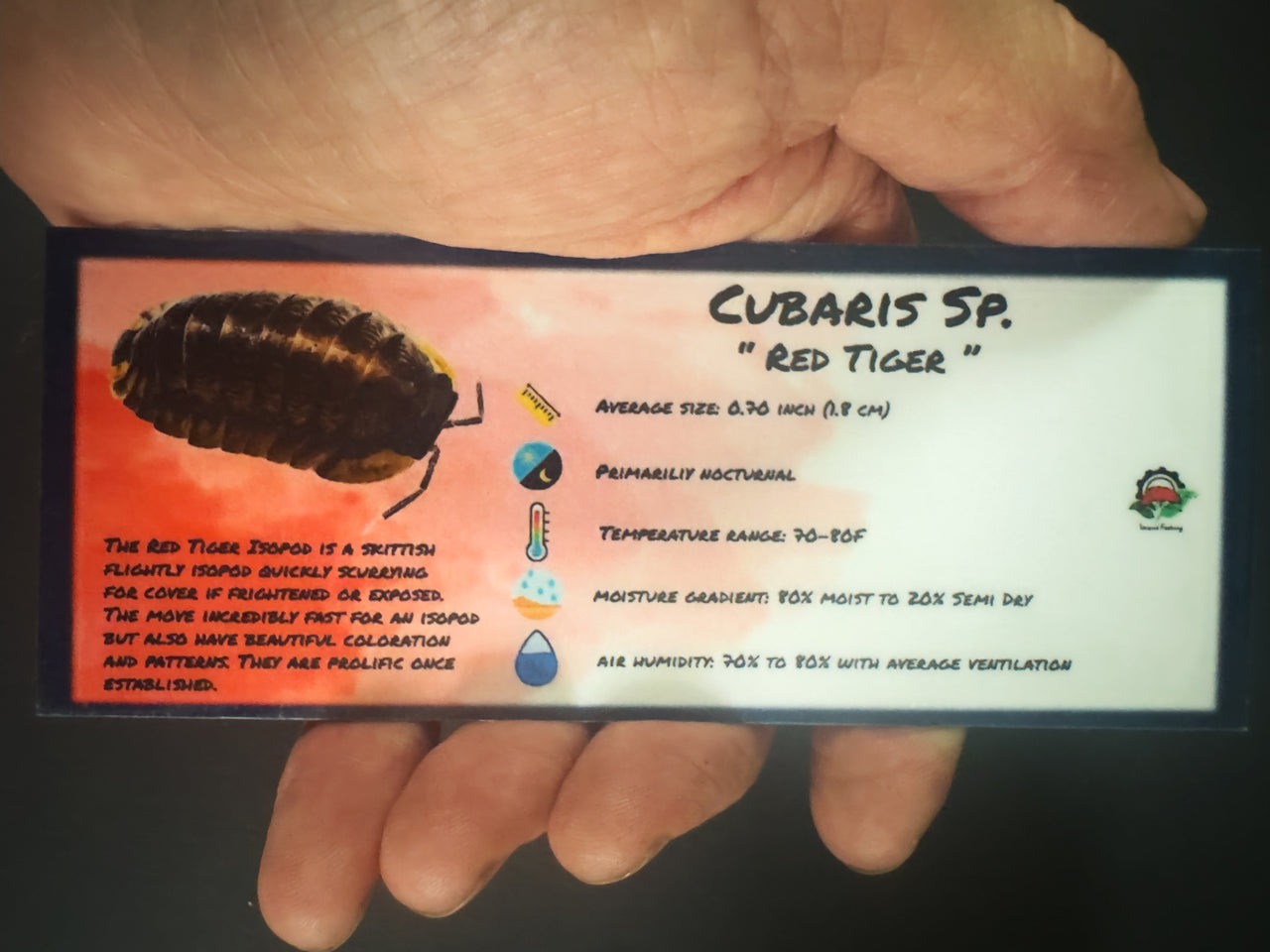 Cubaris Sp. Red Tiger Isopod Bin Label
