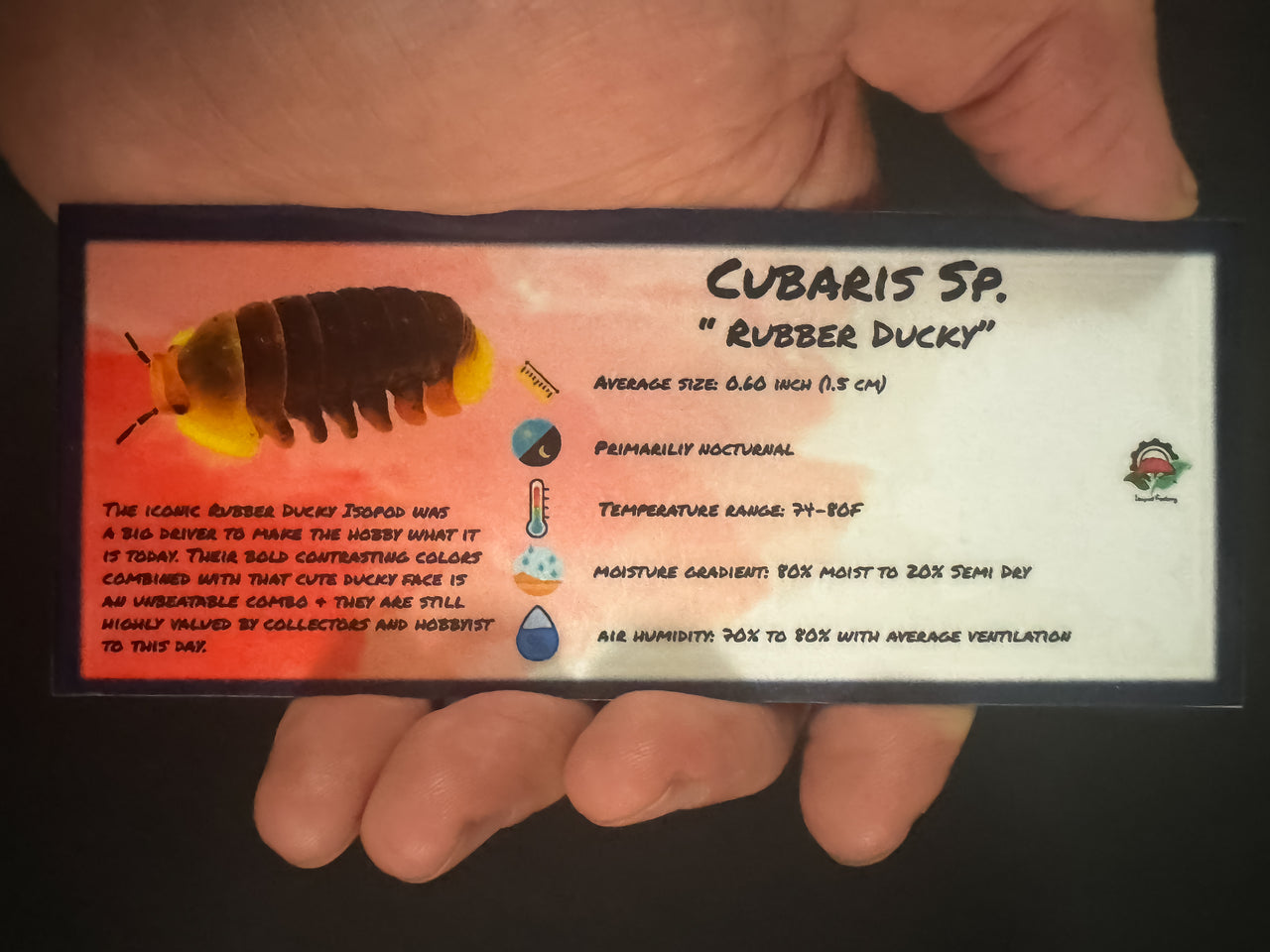 Cubaris Sp. Rubber Ducky Isopod Bin Label