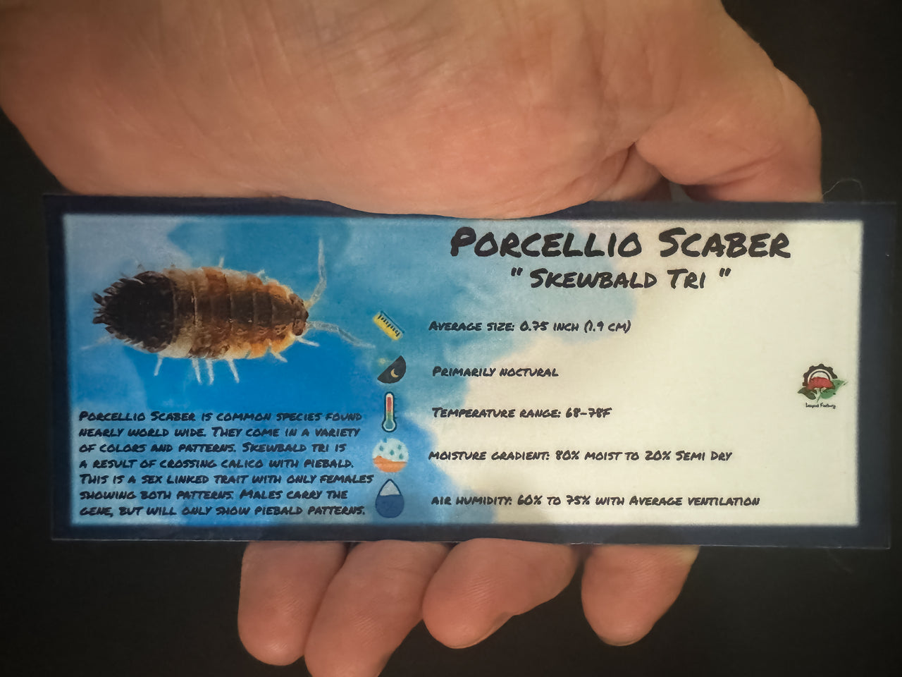 Porcellio Scaber Skewbald Tri Isopod Bin Label
