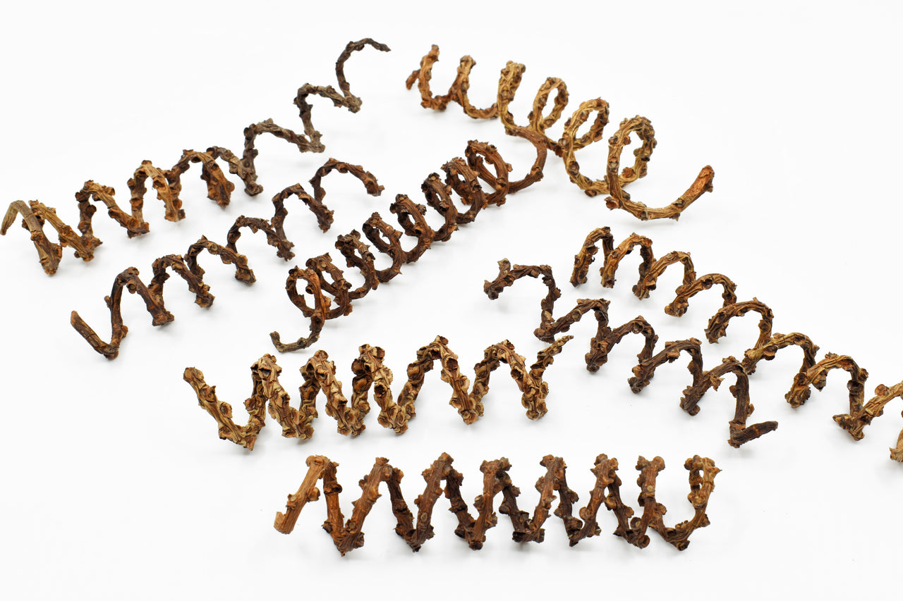 Palm Tail Spring Natural Terrarium Vivarium Isopod Botanical Decor