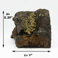 Thumbnail for WYSIWYG Cork Bark Chunk CBC-1