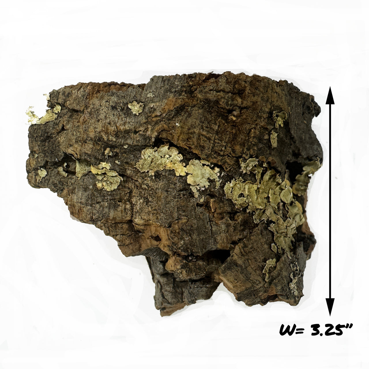 WYSIWYG Cork Bark Chunk CBC-1