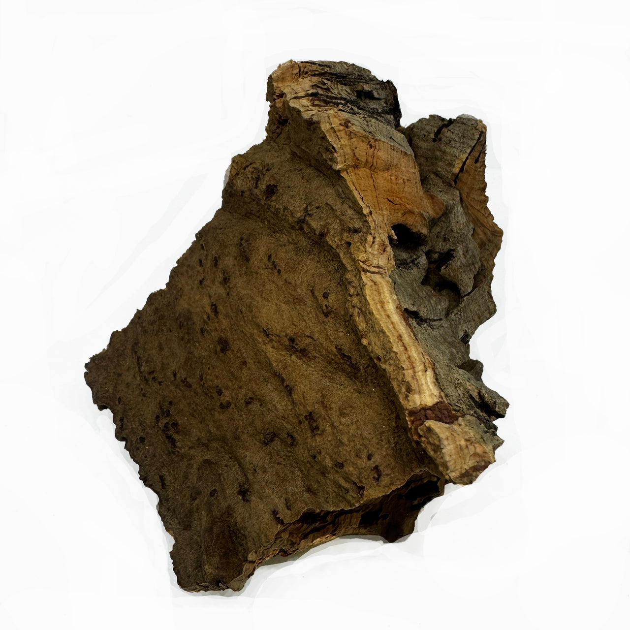 WYSIWYG Cork Bark Chunk CBC-1