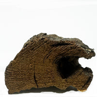 Thumbnail for WYSIWYG Cork Bark Chunk CBC-1