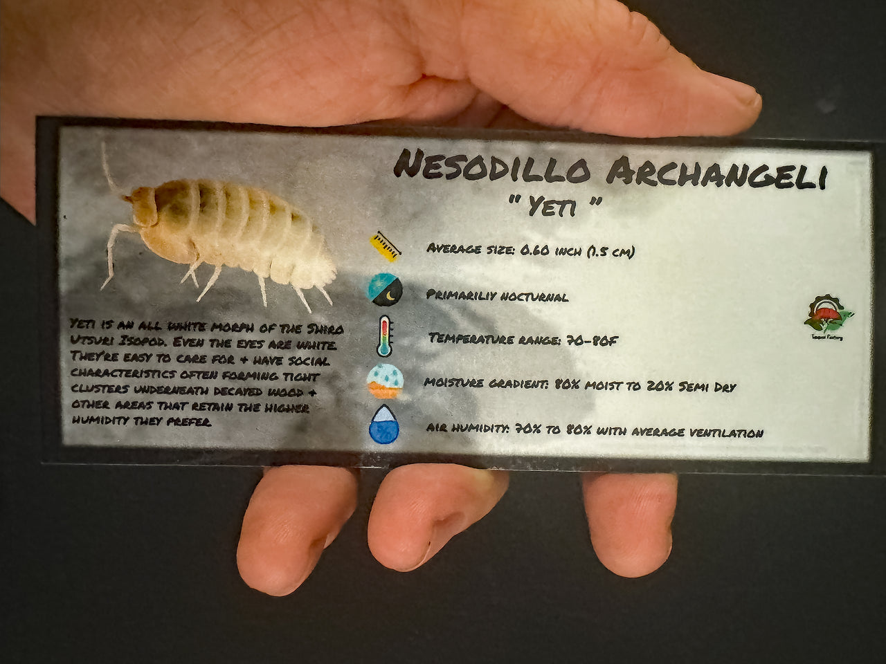 Nesodillo Archangeli Yeti Isopod Bin Label